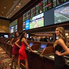vs555